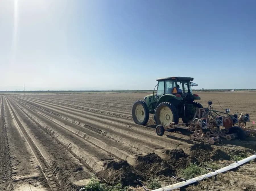 Lettuce seed sowing — drip tape and seed, McFarland, California