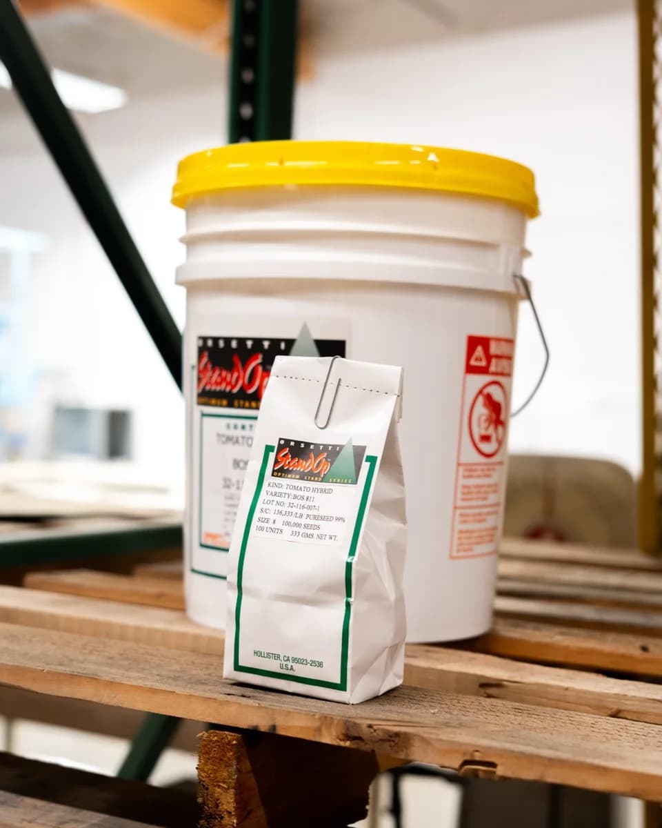 Orsetti processing tomato seeds — packaged in bag and bucket