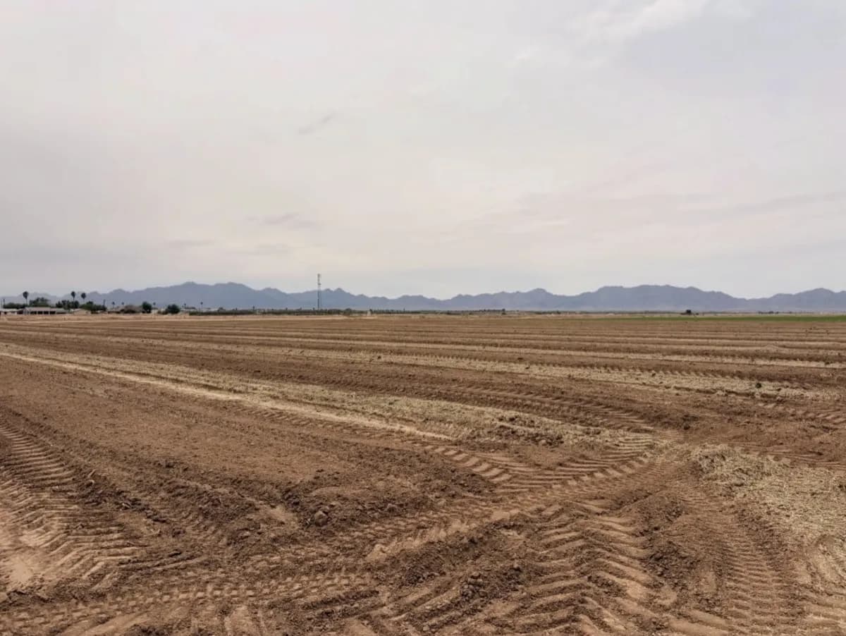 Freshly furrowed Arizona production field — ready for planting